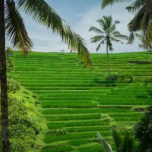 be-bali-stay.ubudhotelsnow.com/